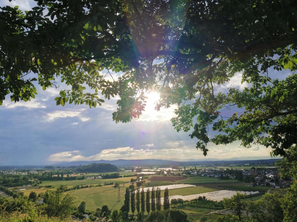 Hotel Suggenbad Waldkirch Dış mekan fotoğraf