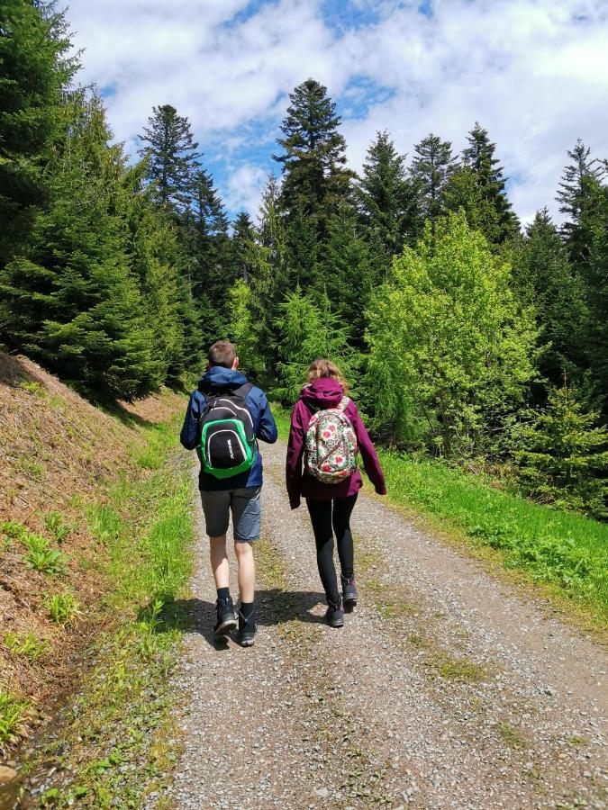 Hotel Suggenbad Waldkirch Dış mekan fotoğraf